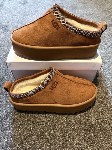 Ugg tasman men brown suede - men’s,